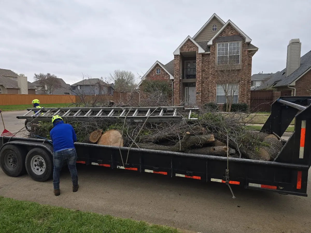 Expert Tree Fertilization with proper safety equipment in Tylersburg